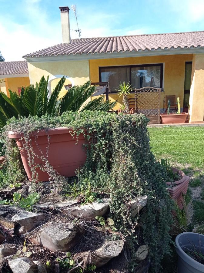 La Luce Del Sinis Βίλα Riola Sardo Εξωτερικό φωτογραφία